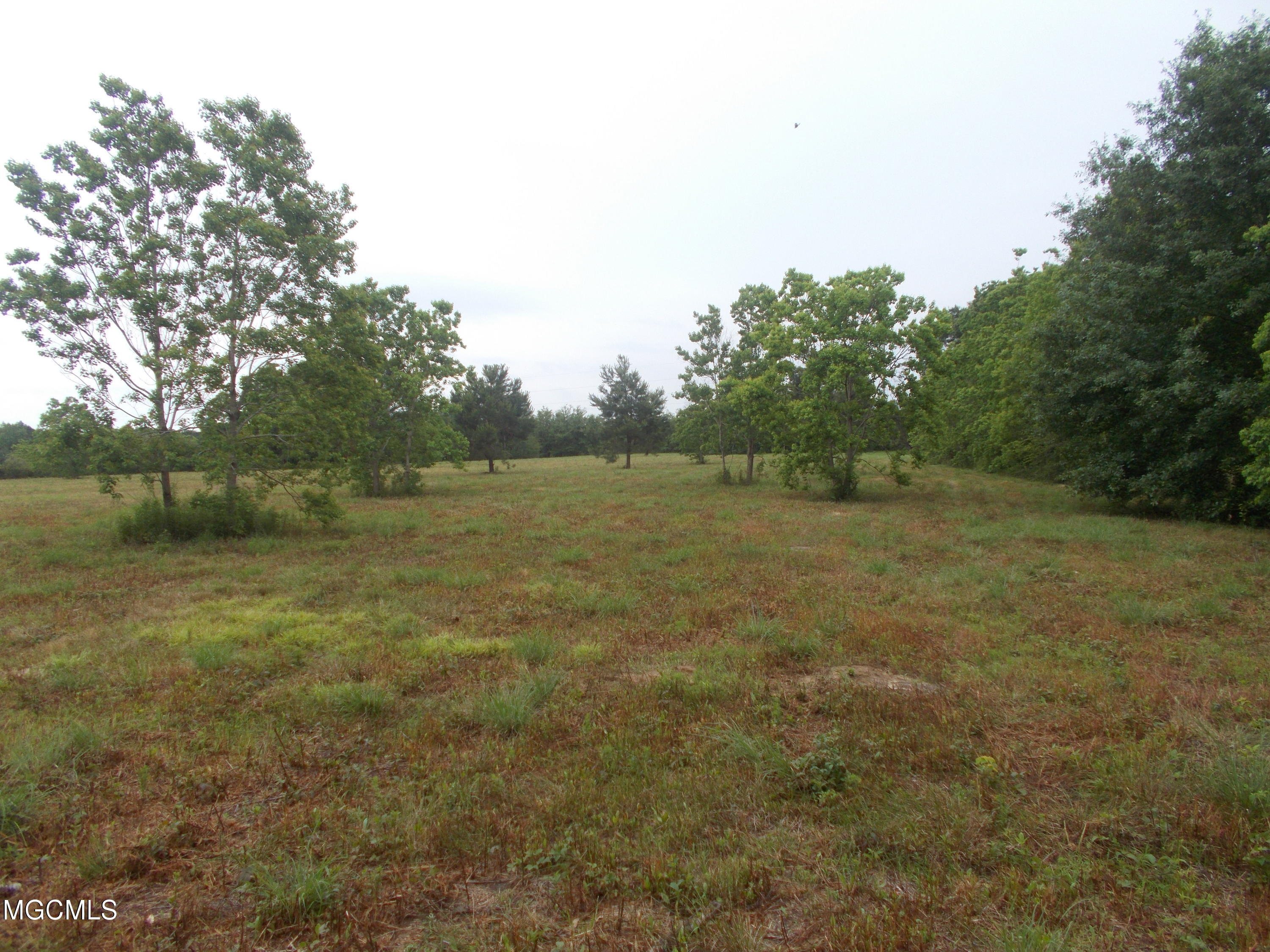16150 Shaw Road Gulfport, MS 39503 - Photo 5 of 6 Acreage