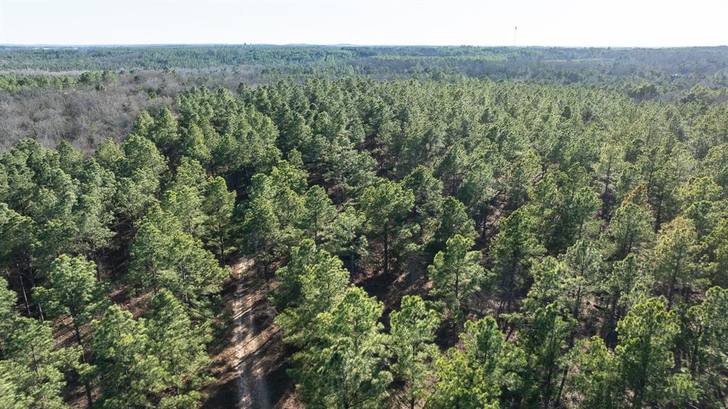 Tbd State Highway 64 Ben Wheeler, TX 75754 - Photo 28 of 36 Birds eye view of property with a forest view