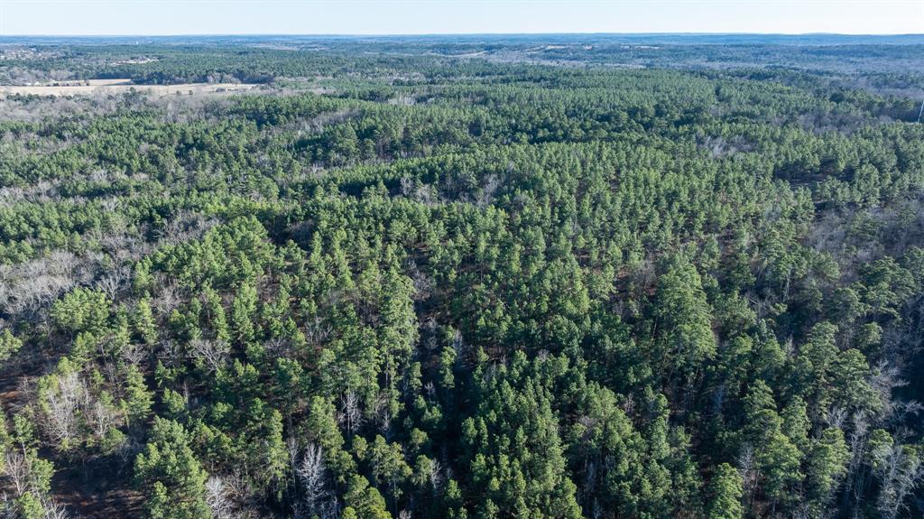 Tbd State Highway 64 Ben Wheeler, TX 75754 - Photo 29 of 36 Birds eye view of property with a forest view