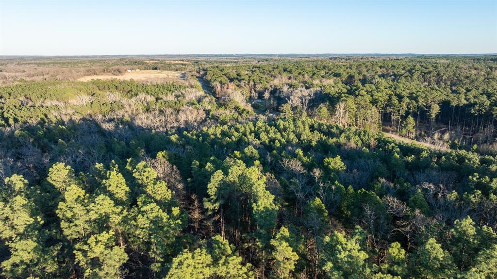 Tbd State Highway 64 Ben Wheeler, TX 75754 - Photo 31 of 36 Bird's eye view with a view of trees