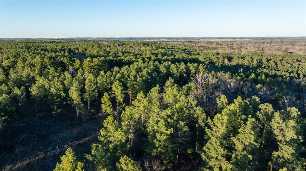 Tbd State Highway 64 Ben Wheeler, TX 75754 - Photo 32 of 36 Aerial view with a forest view