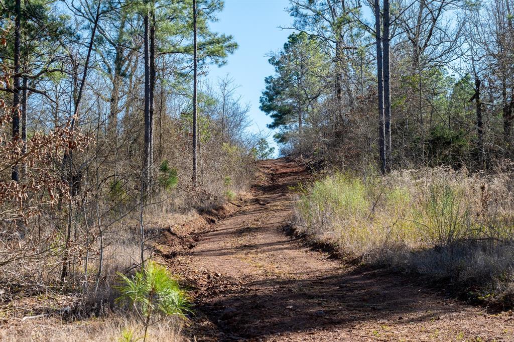 Tbd State Highway 64 Ben Wheeler, TX 75754 - Photo 7 of 36 View of street