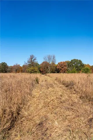 $380,000 | 11201-11999 Southeast 700th Highway, Collins, MO 64738