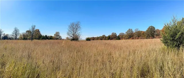 $380,000 | 11201-11999 Southeast 700th Highway, Collins, MO 64738