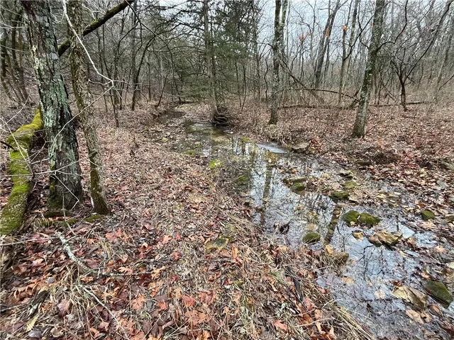 $380,000 | 11201-11999 Southeast 700th Highway, Collins, MO 64738