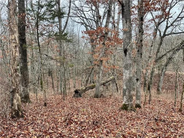 $380,000 | 11201-11999 Southeast 700th Highway, Collins, MO 64738