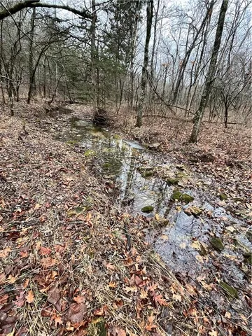 $380,000 | 11201-11999 Southeast 700th Highway, Collins, MO 64738