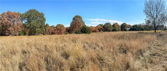 $350,000 | 11201-11999 Southeast 700th Highway, Collins, MO 64738