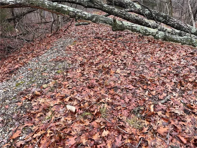 $380,000 | 11201-11999 Southeast 700th Highway, Collins, MO 64738