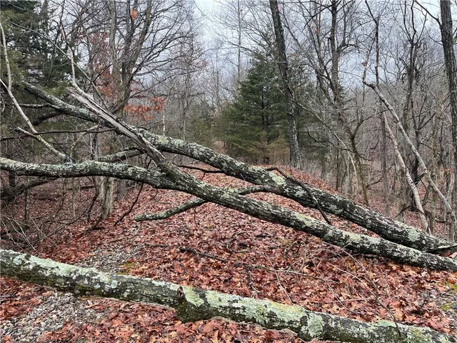 $380,000 | 11201-11999 Southeast 700th Highway, Collins, MO 64738