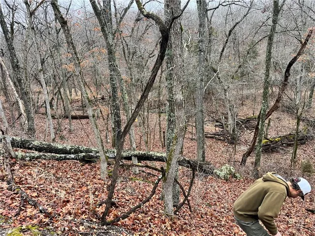 $380,000 | 11201-11999 Southeast 700th Highway, Collins, MO 64738