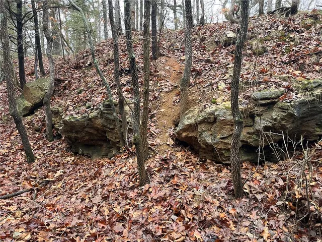 $380,000 | 11201-11999 Southeast 700th Highway, Collins, MO 64738