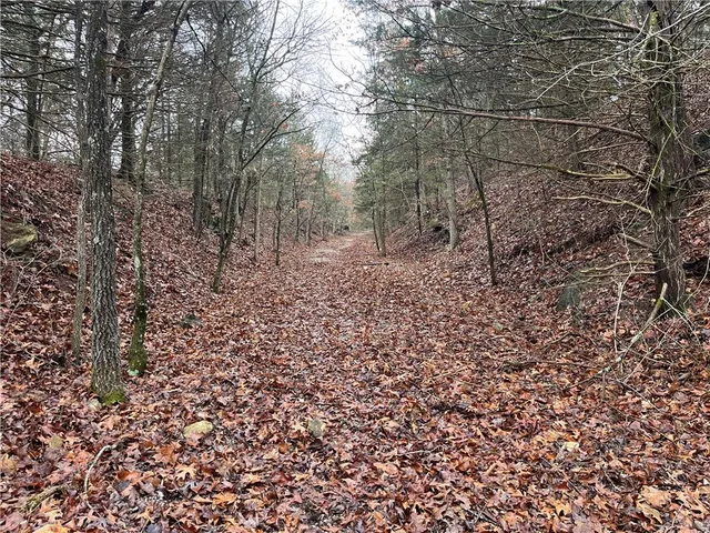 $380,000 | 11201-11999 Southeast 700th Highway, Collins, MO 64738