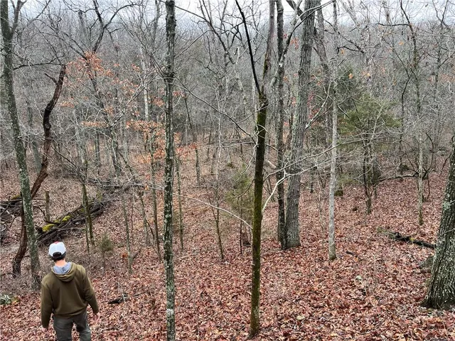 $380,000 | 11201-11999 Southeast 700th Highway, Collins, MO 64738