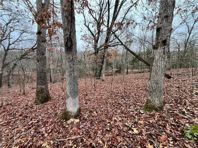 $380,000 | 11201-11999 Southeast 700th Highway, Collins, MO 64738