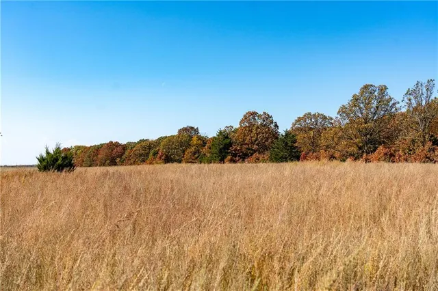 $380,000 | 11201-11999 Southeast 700th Highway, Collins, MO 64738