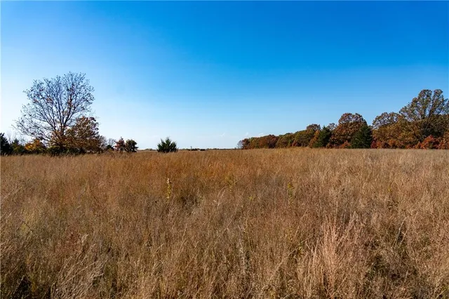 $380,000 | 11201-11999 Southeast 700th Highway, Collins, MO 64738