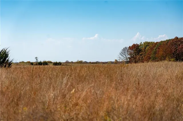 $380,000 | 11201-11999 Southeast 700th Highway, Collins, MO 64738