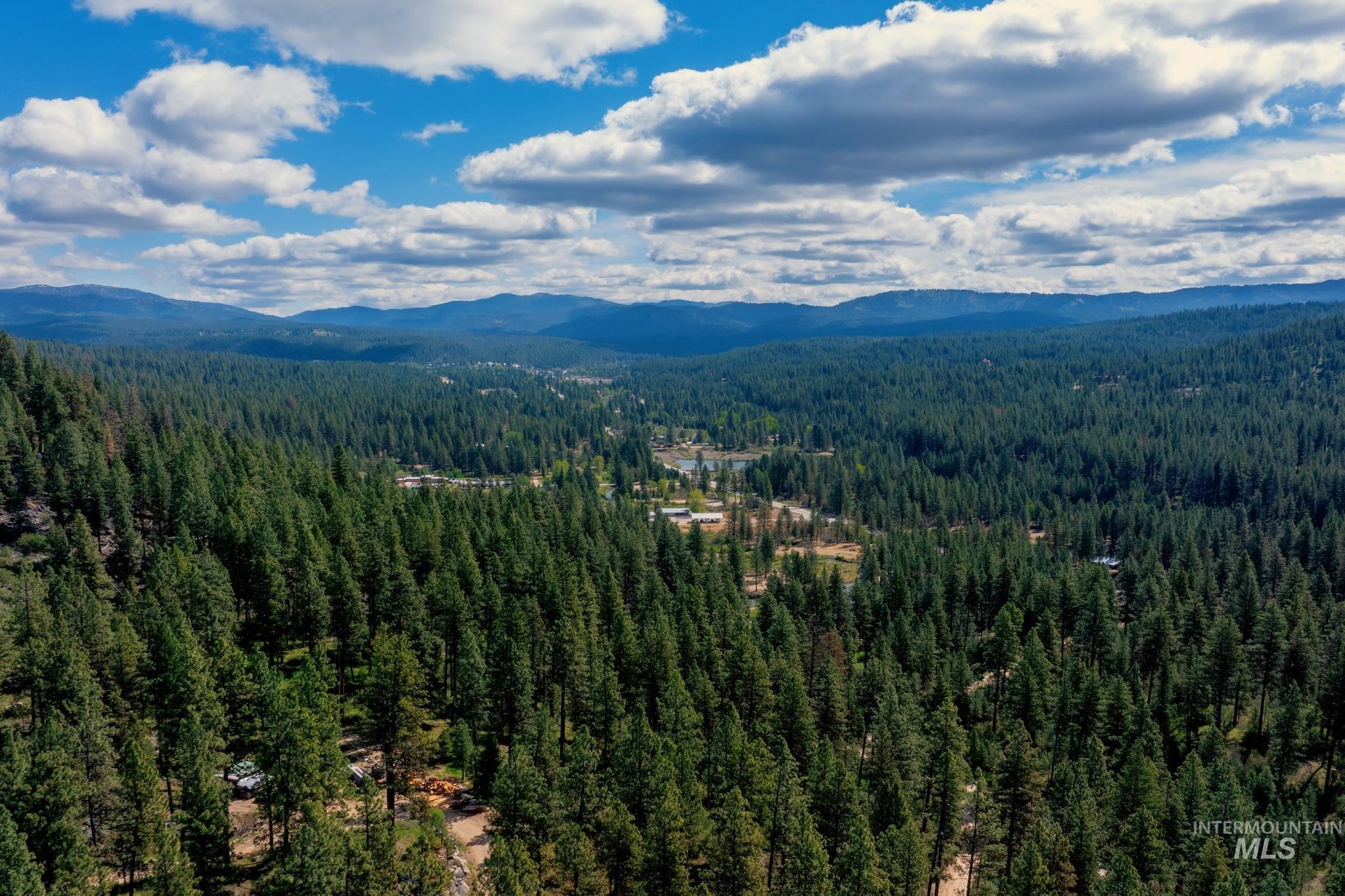 85 Pine Top Road Boise, ID 83716 - Photo 32 of 33 Expansive evergreen forest landscape with distant mountain ranges under a partly cloudy sky