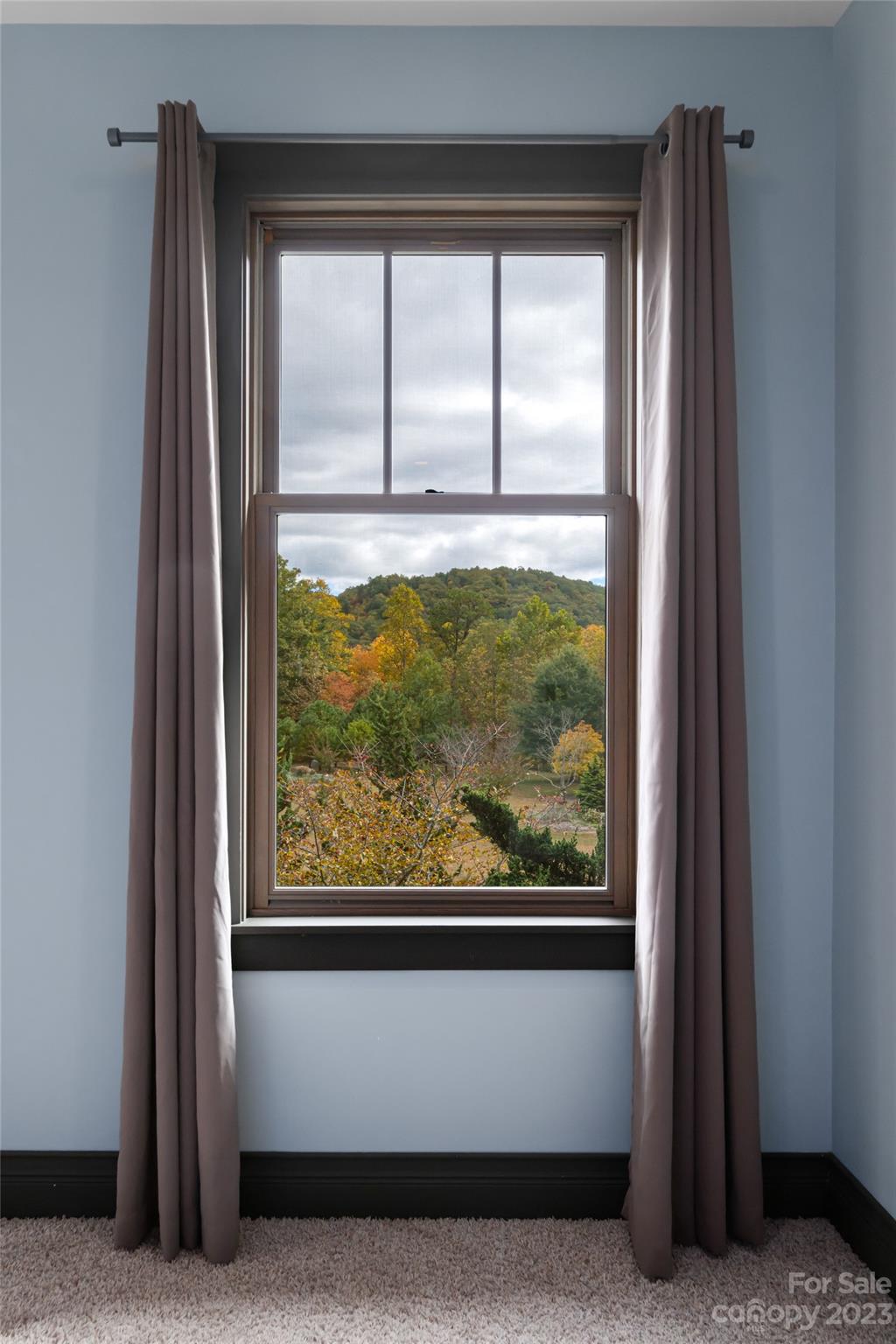 1025 Morgan Hill Road Black Mountain, NC 28711 - Photo 23 of 48 a view of a large window