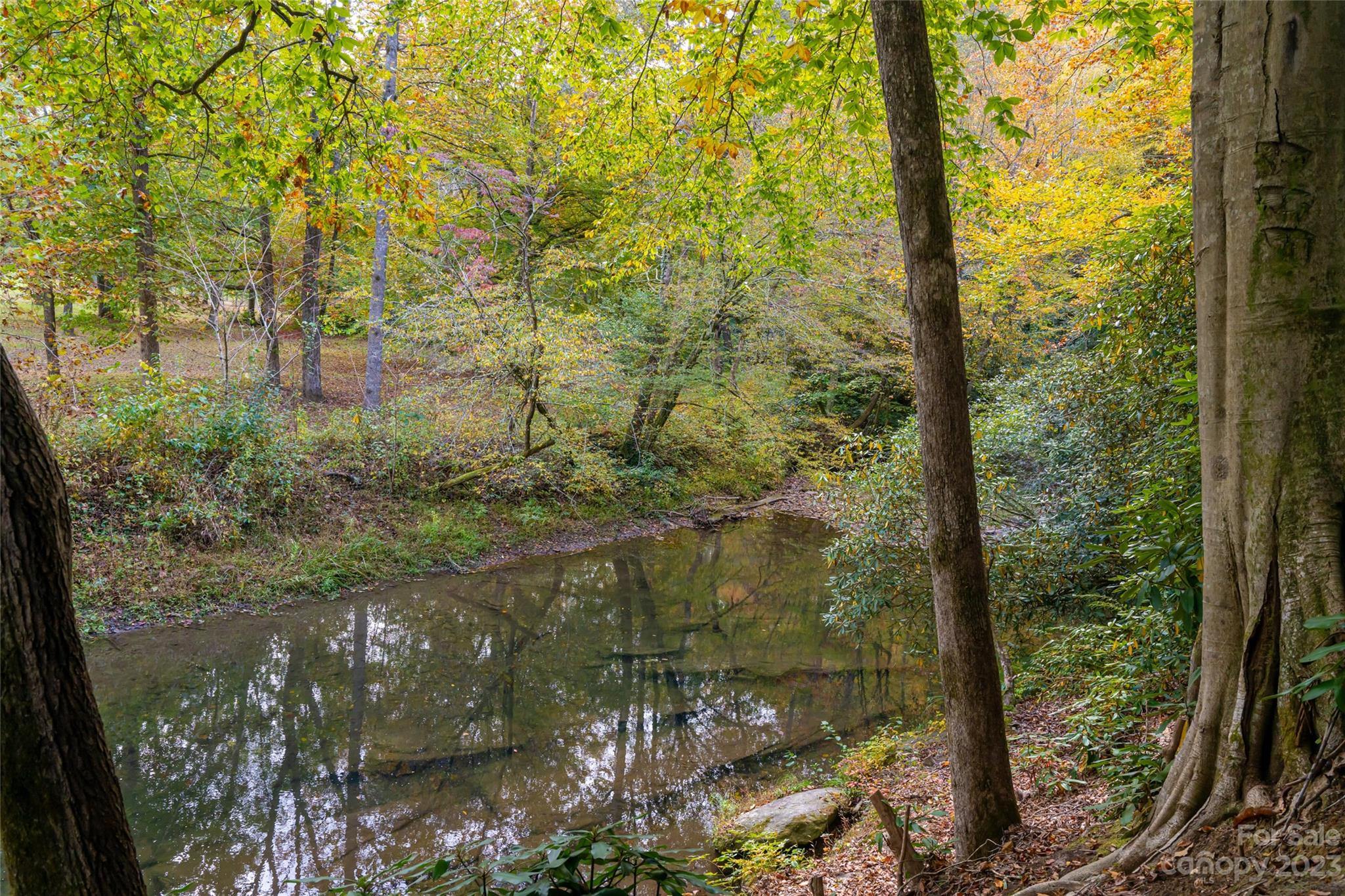 1025 Morgan Hill Road Black Mountain, NC 28711 - Photo 41 of 48 a view of lake from balcony