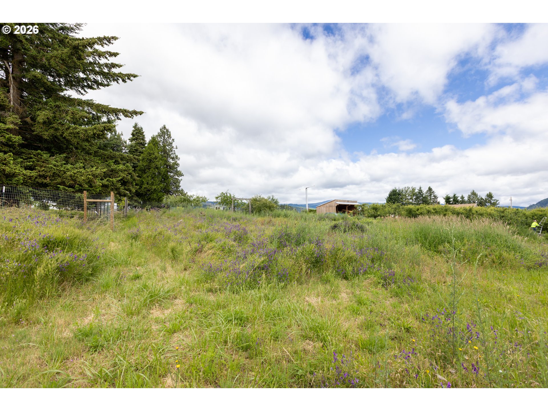 6455 Trout Creek Ridge Road Mount Hood Parkdale, OR 97041 - Photo 35 of 38