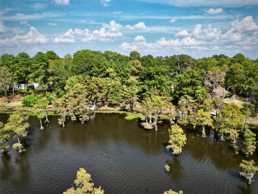 15585 Rudd Road Ida, LA 71044 - Photo 10 of 27 Waterfront property featuring mature trees and a wooded shoreline