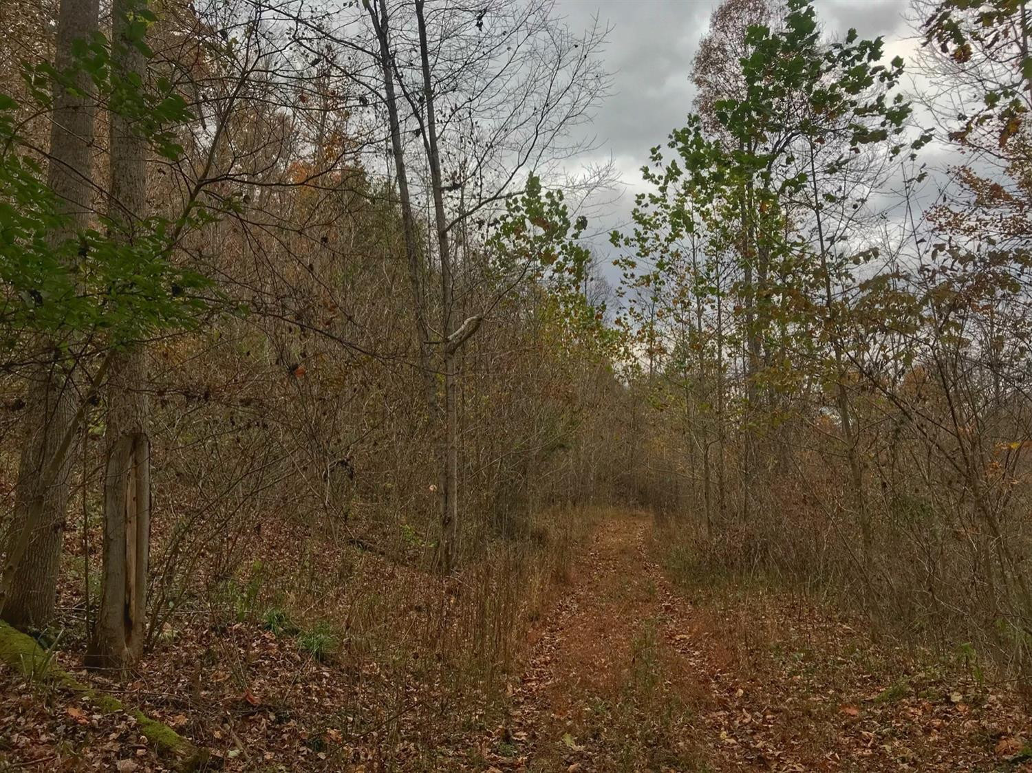 889 South Fork Road Stanton, KY 40380 - Photo 8 of 19 Photo 8