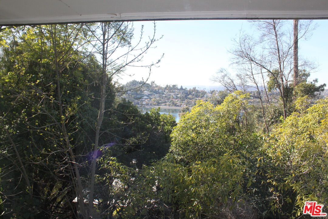 2335 Silver Ridge Avenue Los Angeles, CA 90039 - Photo 14 of 17 a view of a lot of trees and bushes