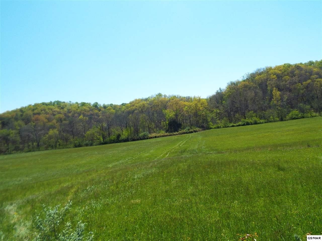3 Fowler Grove Road Newport, TN 37821 - Photo 7 of 8 Gallery Image 7