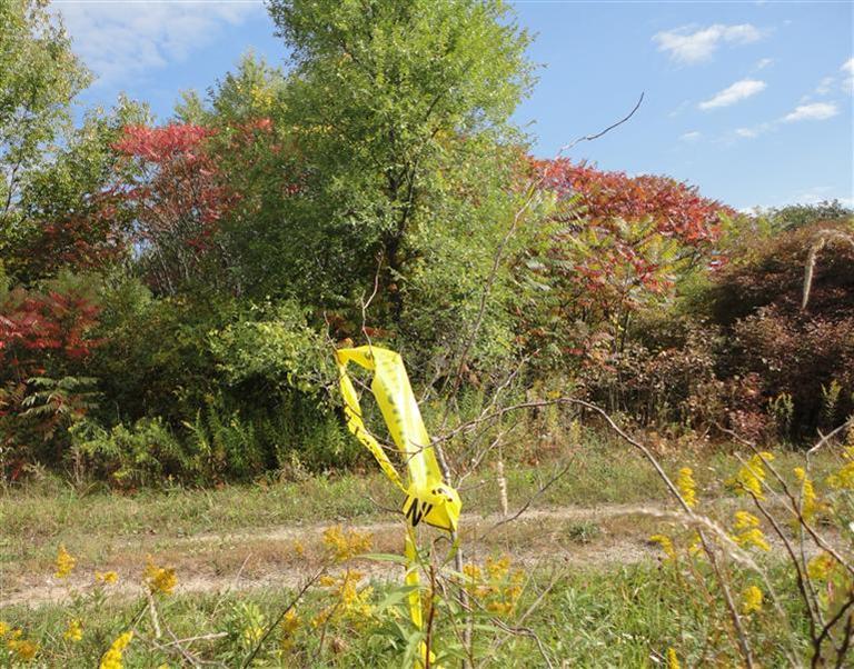 13288 Fruit Ridge Avenue Northwest Kent City, MI 49330 - Photo 2 of 5 Additional Photo