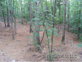 473 Rowland Rd. Swannanoa, NC 28778 - Photo 6 of 8 Gallery Image 6