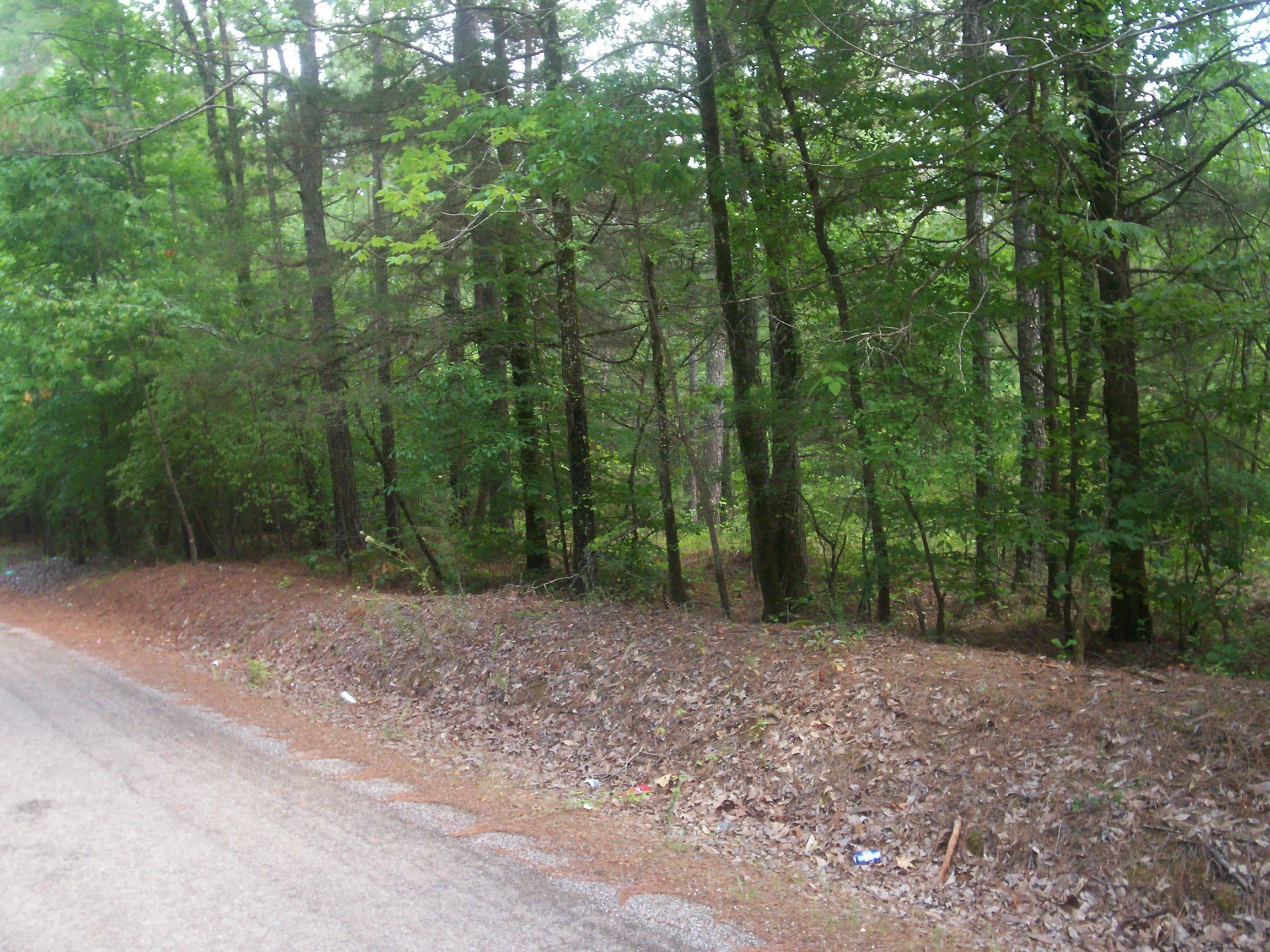 0 Mcmahan Road Middleton, TN 38052 - Photo 2 of 4 Gallery Image 2