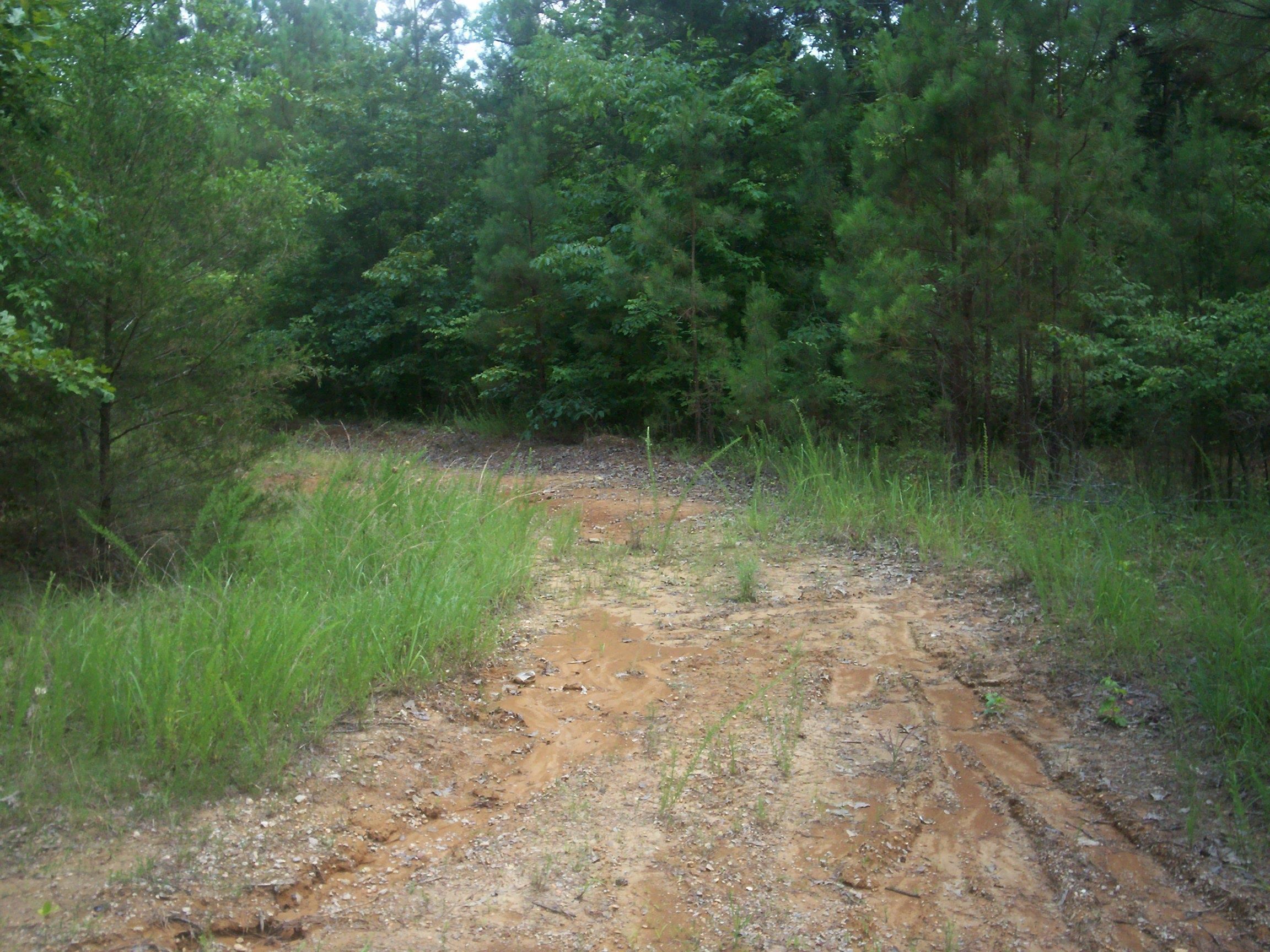 0 Mcmahan Road Middleton, TN 38052 - Photo 4 of 4 Gallery Image 4