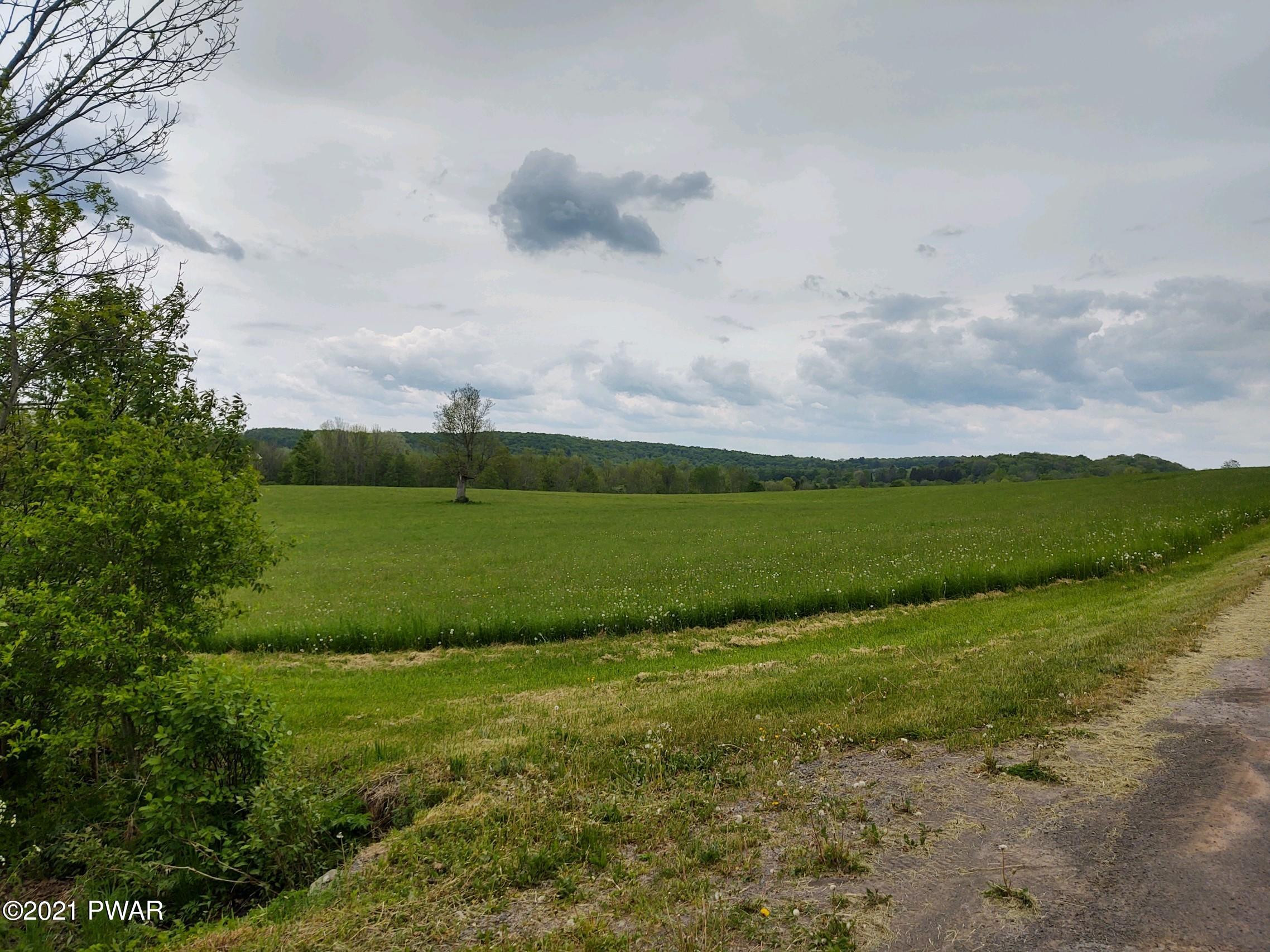 Joslyn Road Guilford, NY 13780 - Photo 9 of 11