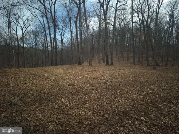a view of outdoor space and a yard