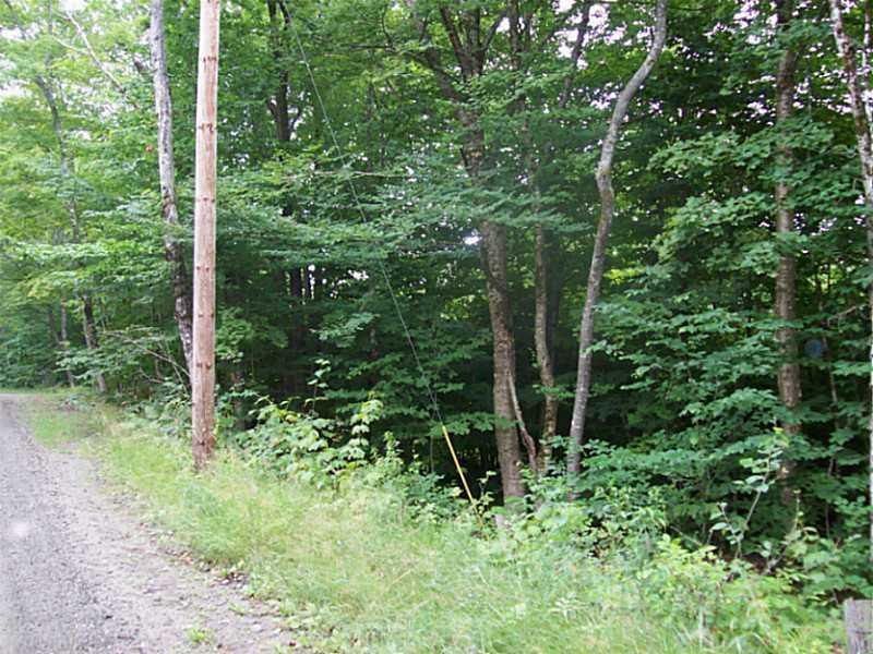 Lot 13 Arab Road Lee, ME 04455 - Photo 5 of 11 Land/Lot.