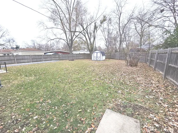 a view of yard with tree