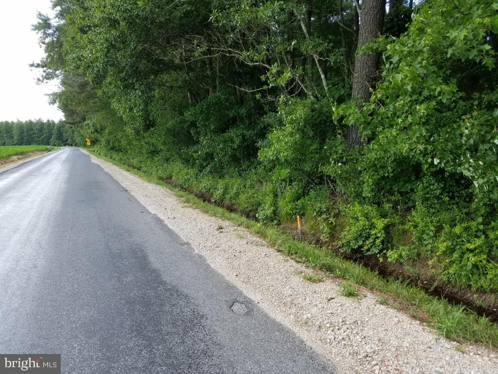 Morris Leonard Road Parsonsburg, MD 21849 - Photo 1 of 2 Gallery Image 1