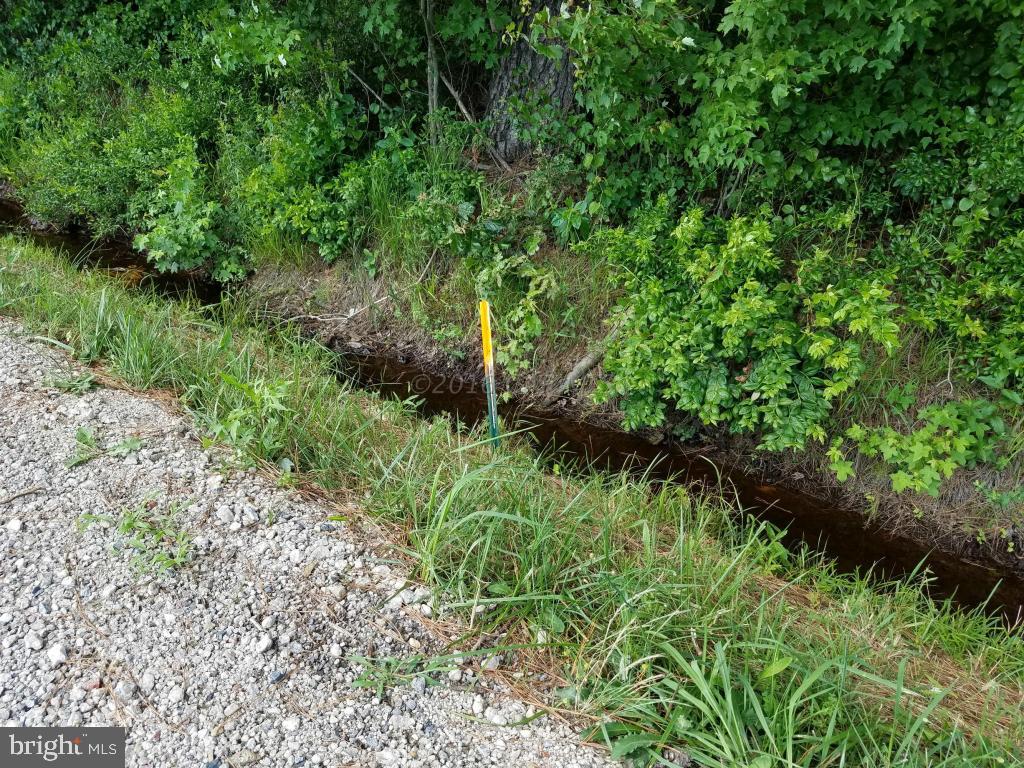 Morris Leonard Road Parsonsburg, MD 21849 - Photo 2 of 2 Gallery Image 2