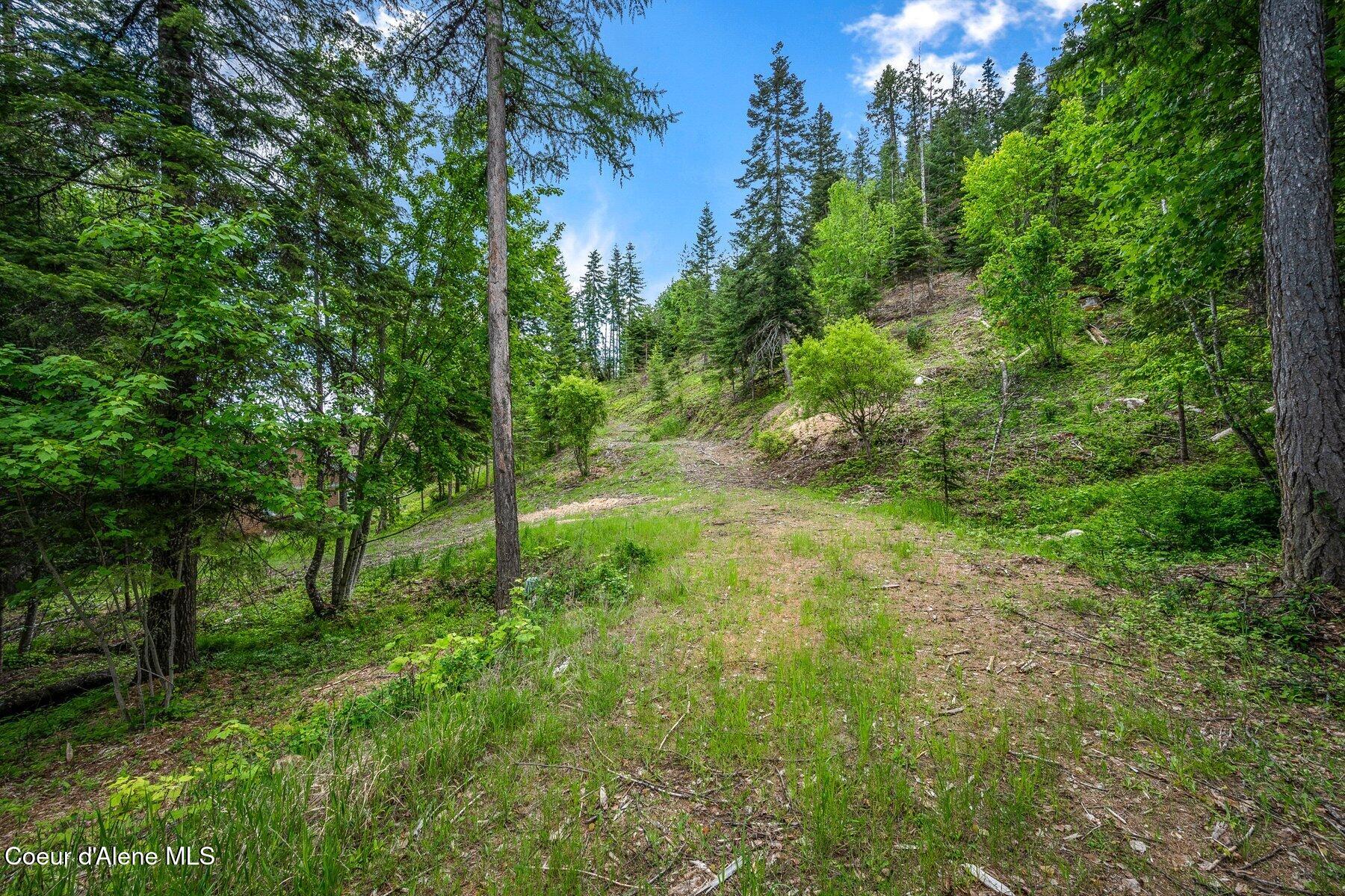 Kna West Bella Ridge Drive Coeur D'Alene, ID 83814 - Photo 4 of 11 --4.jpg-SMALL