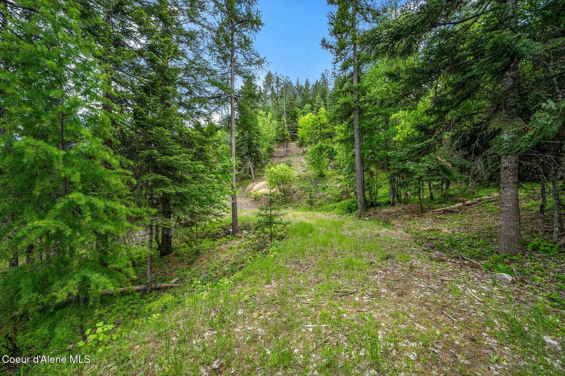 Kna West Bella Ridge Drive Coeur D'Alene, ID 83814 - Photo 5 of 11 --3.jpg-SMALL