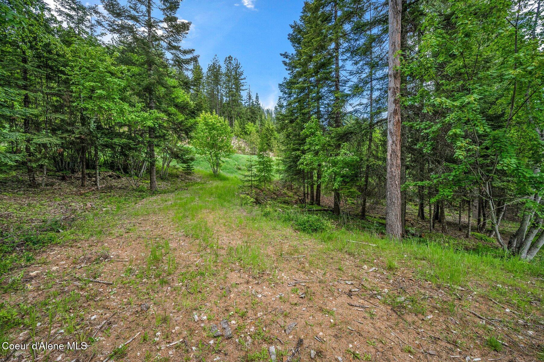 Kna West Bella Ridge Drive Coeur D'Alene, ID 83814 - Photo 6 of 11 --5.jpg-SMALL