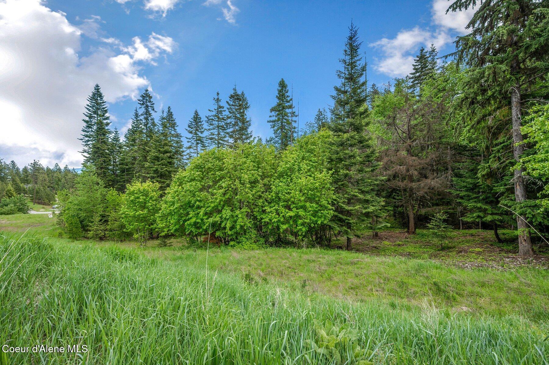 Kna West Bella Ridge Drive Coeur D'Alene, ID 83814 - Photo 8 of 11 --9.jpg-SMALL