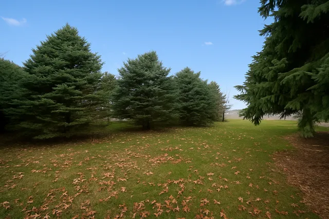 a view of a lake view