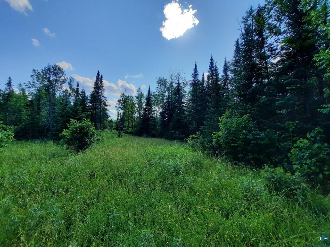 Xxx Xxx State Line Road Holyoke, MN 55749 - Photo 4 of 4