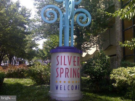1900 Lyttonsville Road, Unit 1308 Silver Spring, MD 20910 - Photo 20 of 30 a sign that is on a tree