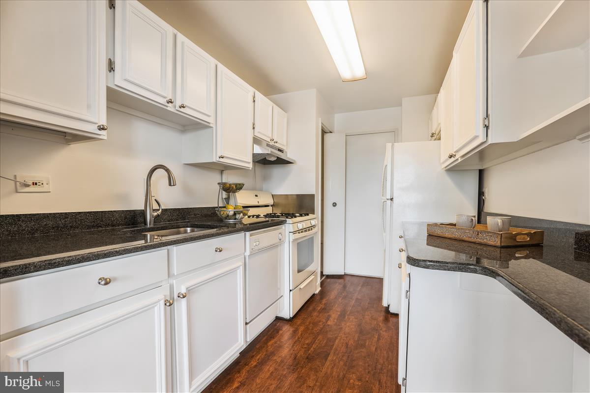 1900 Lyttonsville Road, Unit 1308 Silver Spring, MD 20910 - Photo 8 of 30 a kitchen with granite countertop a sink and cabinets