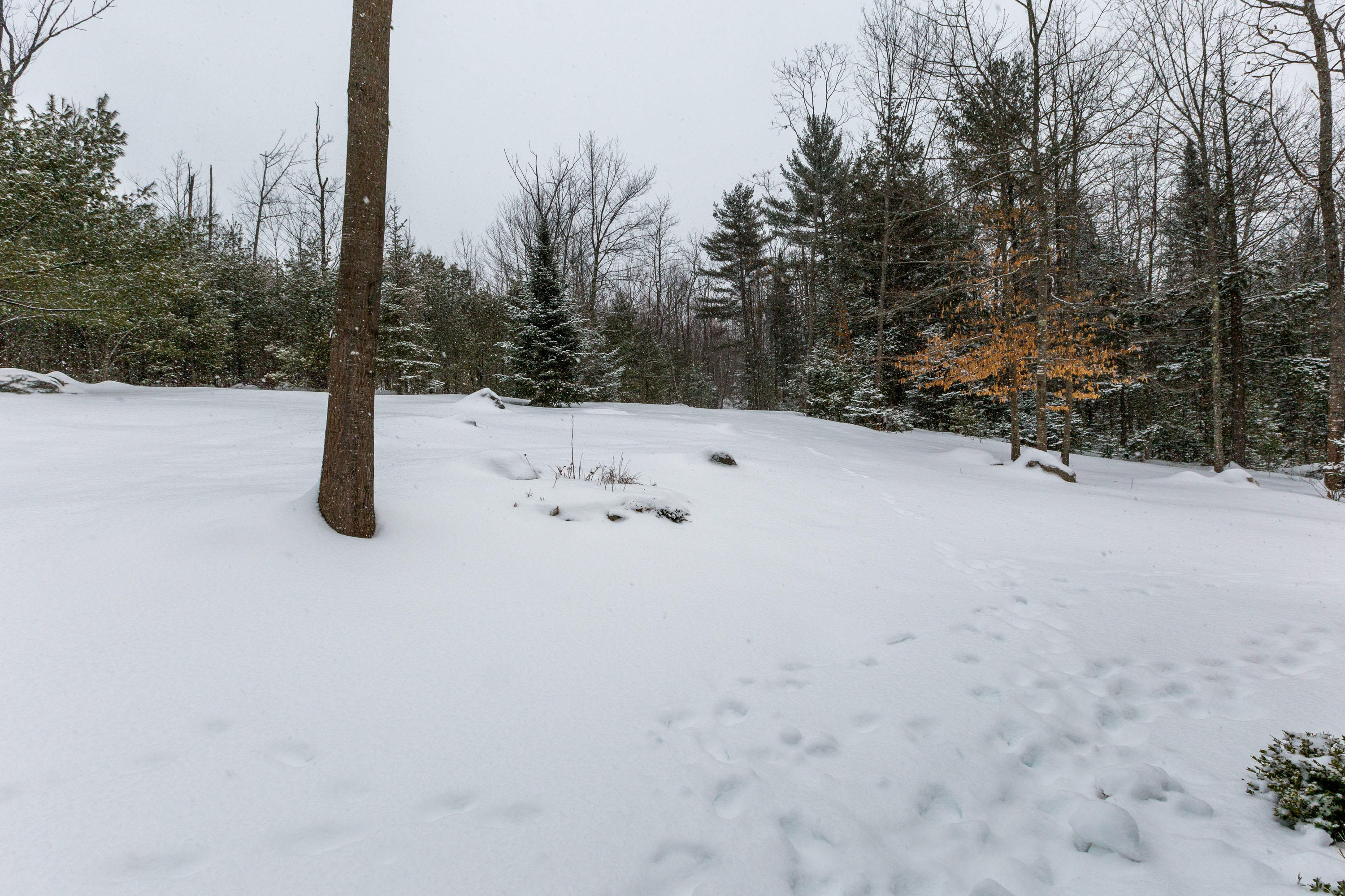 200 Doles Ridge Road Limington, ME 04049 - Photo 38 of 44 Doles Ridge_McGuire_47