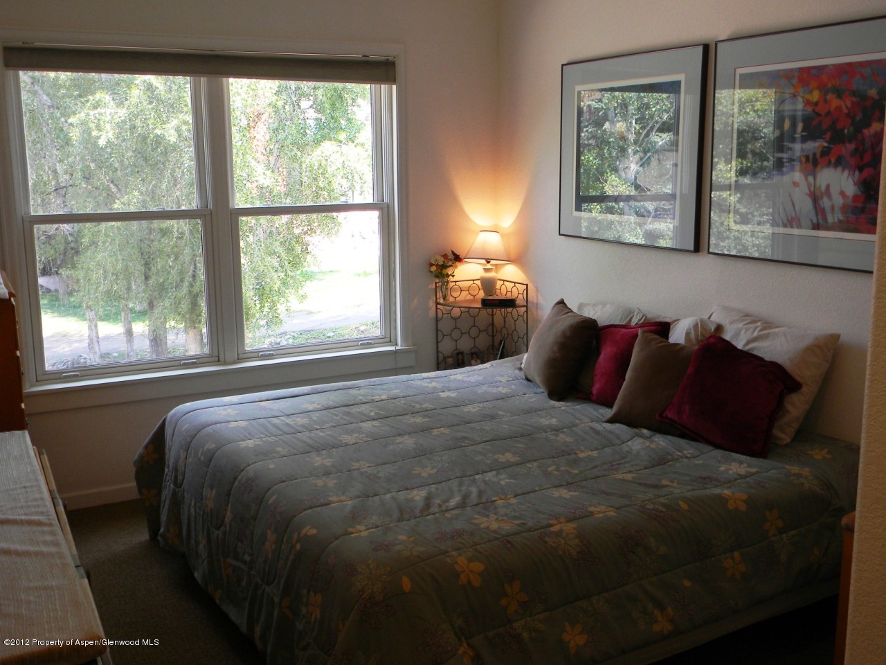 855 Gold Rivers Court Basalt, CO 81621 - Photo 8 of 13 east bedroom